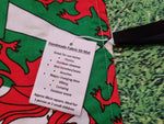 Ddraig Goch / Red Dragon Welsh Flag Print Handmade Waterproof Base Sit Mat - Great for Picnics