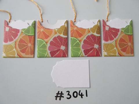 Set of 4 No. 3041 Mixed Citrus Fruits Unique Handmade Gift Tags