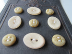 #3112 Lot of 9 Mixed Beige Buttons