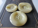 #3121 Lot of 3 Cream, Pale Brown Swirl Buttons