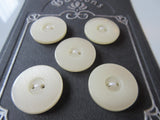 #3162 Lot of 5 Off White Buttons