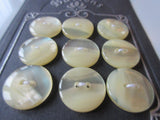 #3197 Lot of 9 Pale Yellow / Cream Buttons