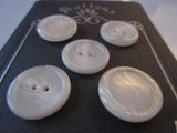 #3258 Lot of 5 Cream / Off White Buttons